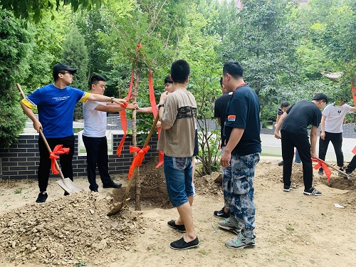 管理科学与工程学院2019届党员毕业生捐树活动圆满成功