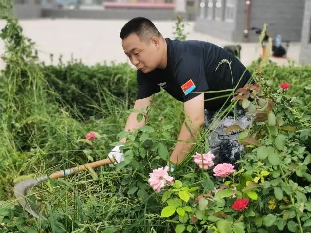 在劳动中把小家融入大家 ——用汗水滋养校园土地