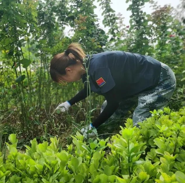 在劳动中把小家融入大家 ——用汗水滋养校园土地